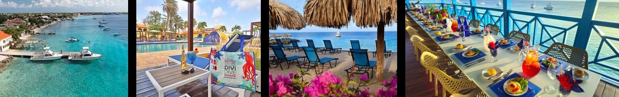 Divi Flamingo Resort Images